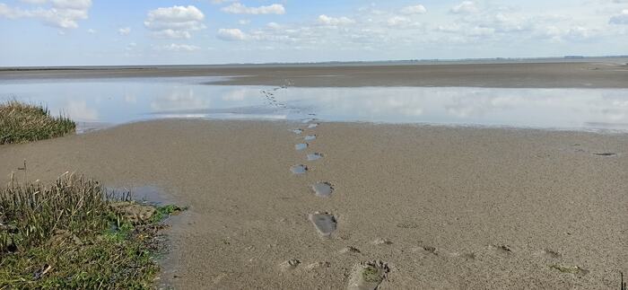 Strand mit Fußspuren