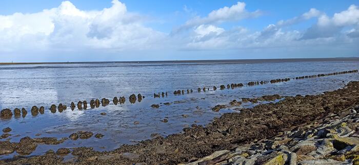 Wattenmeer bei Ebbe